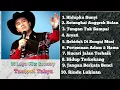 Download Lagu 10 Lagu Hits Country Tantowi Yahya