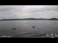 Lake Coeur d Alene Live Weather Camera Wind Lake Conditions Webcam
