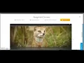 Logging into and Using StudySync
