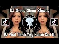 Download Lagu DJ STECU STECU SLOWED || DJ STECU STECU SLOWED REVERB VIRAL TIKTOK MENGKANE TERBARU 2025 !!!