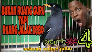 Download JALAK KEBO, di jamin langsung nyaut setelah belajar disini (part#4) MP3