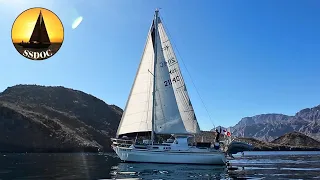 Baja Sailing & A Shark Stole Our Fish! | The Cruiser’s Life In Mexico – Ep. 95
