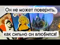 Lagu 💯Он не может поверить, как сильно Он влюбился!❗️Что вы с ним сделали❓