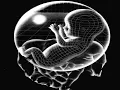 cosculluela prrrum lyrics