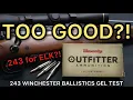PIPSQUEAK 243 Winchester Outfitter 80gr CX Ammo Test