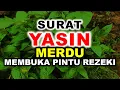 Download Lagu MEMBUKA PINTU REZEKI DENGAR MUROTTAL ALQURAN MERDU SURAT YASIN MERDU