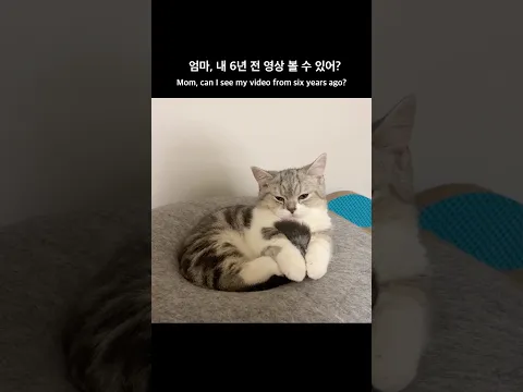 배오복🖤