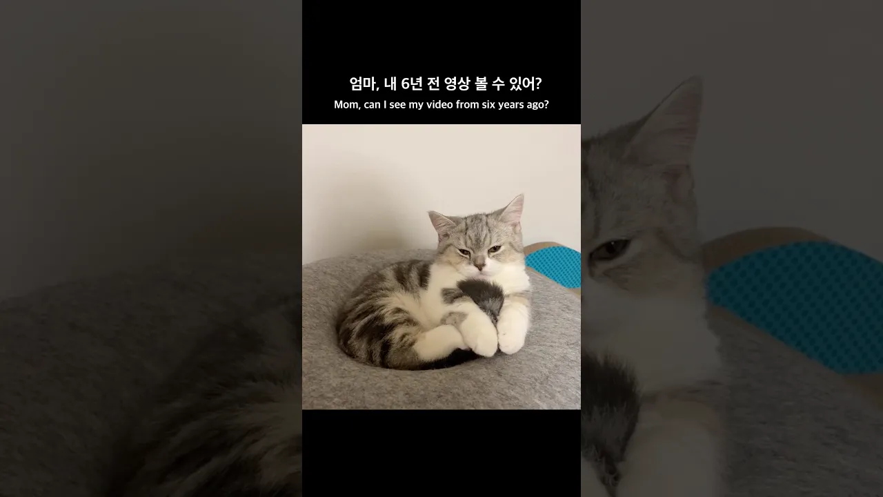 배오복🖤