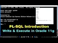 Basic Introduction How to Write Execute Program in Oracle 11g