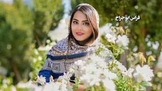 مريت دار الولف مريت تاشوفك  مريت دار الولف مريت تاشوفك