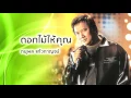 ดอกไม้ให้คุณ - ดนุพล แก้วกาญจน์ (Official Audio)