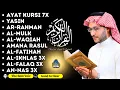 Download Lagu 安らぎのためのクルアーン朗読 – 魂を包む平和の瞬間 | Peaceful Quran Recitation by Alaa Yaseer