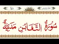 Download Lagu 064 - Surah At-Taghabun - Without Ad