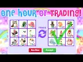 1 Hour of Trading Adopt Me Successful Trades Roblox Riivv3r