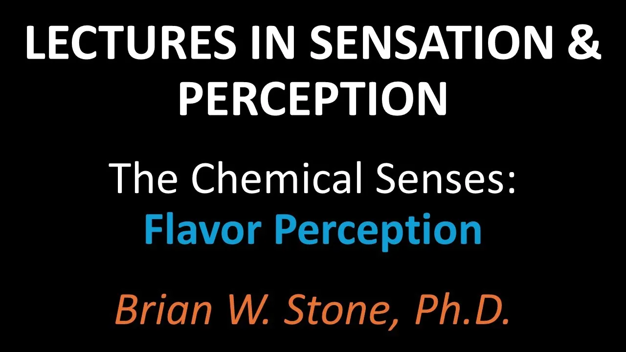 Sensation and Perception - Chemical Senses Pt4 - Flavor Perception