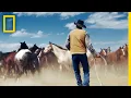 Wrangling Wild Horses in the Mountains of Montana Short Film Showcase