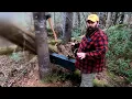Wilderness Trapline Making a Marten Set Episode 12
