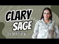 Sherwin Williams Clary Sage SW 6178 Color Review