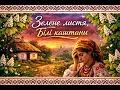 Зелене листя, білі каштани 🎵 Живозвук Ua