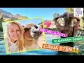Download Lagu CAVIA ETEN, selfies met ALPACA'S en beste restaurant van de wereld - PERU - Reisvlog #21