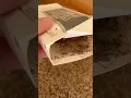 The Best Way to Get Rid of Brown Recluse Spiders