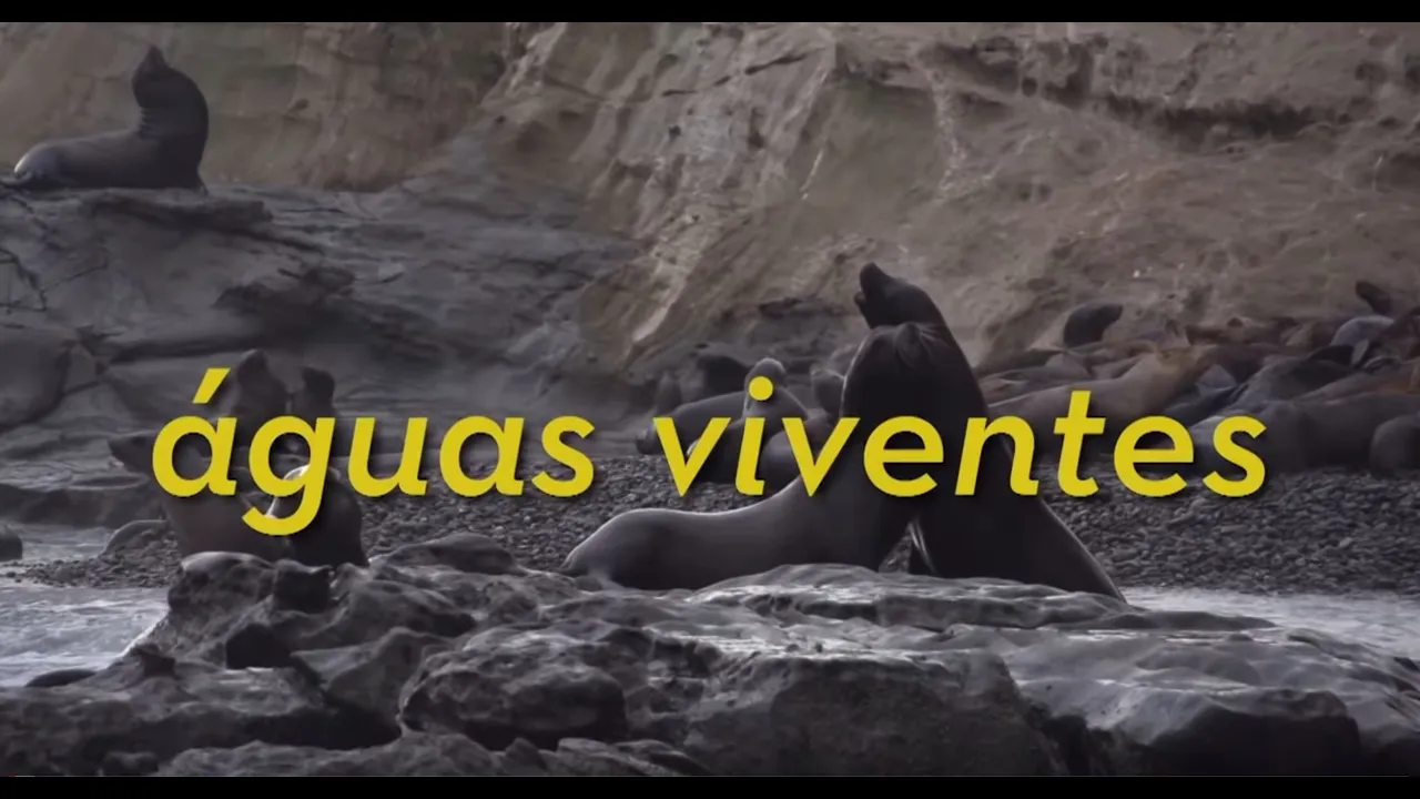Aguas Viventes - Documentario