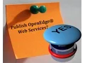 How to publish an OpenEdge Web Service - an overview