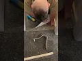 Download Lagu No door trim needed 🙂 #home #diy #carpet #flooring #teirnanmccorkell