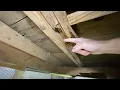 What Does It Look Like to Sister Floor Joists How Should It Be Done