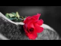 Final Farewells Funeral Pre-Planning Products and services - Make Online Funeral Arrangements In