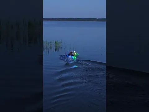 Fish Remote Control RC Bait Boat