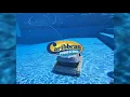 Automatic Pool Vacuum Pentair Prowler 920