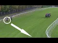 Download Lagu When a jockey does his homework! INCREDIBLE ride from Mickael Barzalona 😮