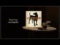 Led Zeppelin - Black Dog / Remaster / FLAC