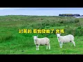 討罵的直到今天還是不願對你說髒話　林宥嘉