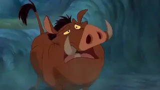 تيمون وبومبا Timon Bomba 