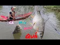 Download Lagu Casting Nets In Flooded Rice Fields, Unexpectedly, There Are So Many Fish Caught /Nhan Be Nho
