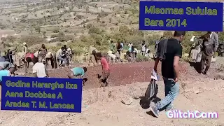 GODINA HARARGEE LIXA AANAA DOOBBAA TOKKUMMAA MATTAA LEENCAA 