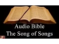 Download Lagu The Song of Songs - NIV Audio Holy Bible - High Quality and Best Speed - Book 22