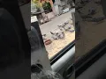 Download Lagu demo langsung pengusir burung 100% hasil hubungi saya untuk pemasangan 9879284442 pabrik rumah gudang