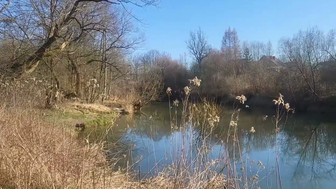 Ancient wooded meadows of the Wisok valley in Poland