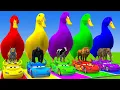 Download Lagu Long Slide Game With Cow Elephant Gorilla Hippopotamus Tiger 3d Animal Game Funny 3d Animals