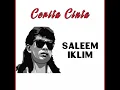 Download Lagu Cerita Cinta - Saleem HQ Audio