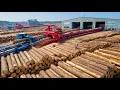 Inside America s Mightiest Sawmill Cut 250 Million Board Feet a Year - How 120M Lumber Empire Works