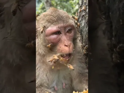بغير وصف😂😂