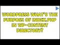 Wordpress What s the purpose of index php in wp-content directory 2 Solutions