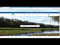 How to Look Up Permit Information Online