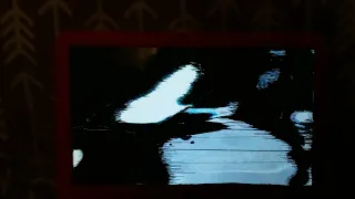 Review Of The 2019 DVD Opening Of 101 Dalmatians 