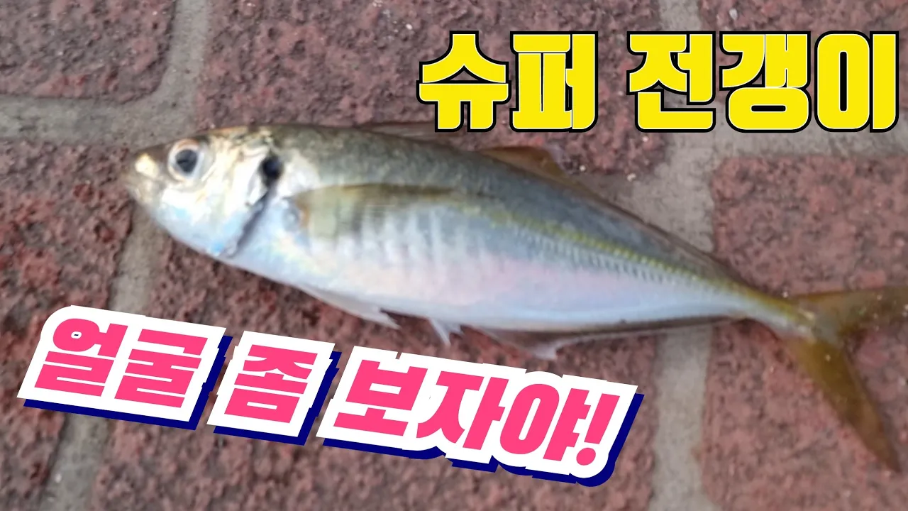 관련 영상 썸네일
