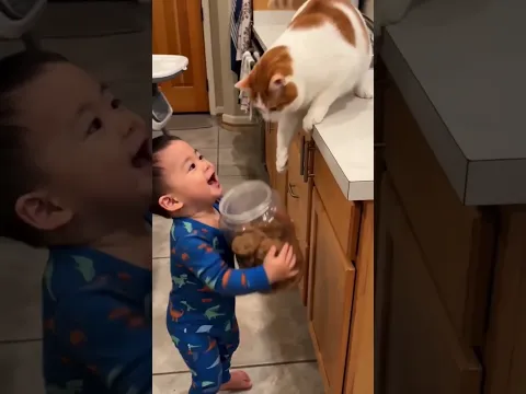 Smart cat helped little boy